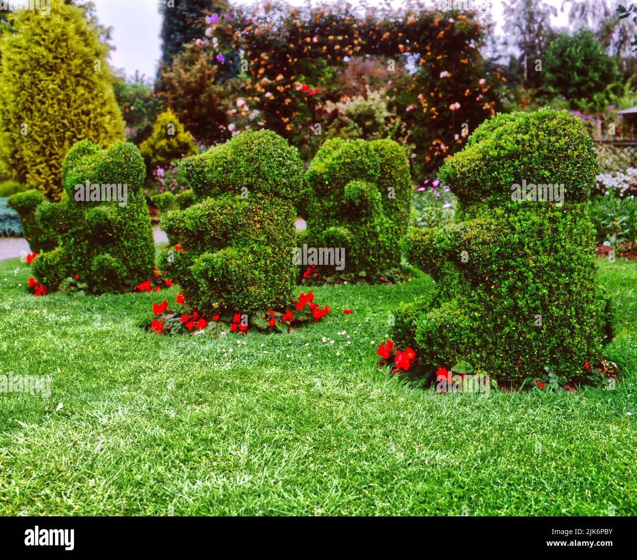 Topiary bears sat on a lawn having a picnic Stock Photo