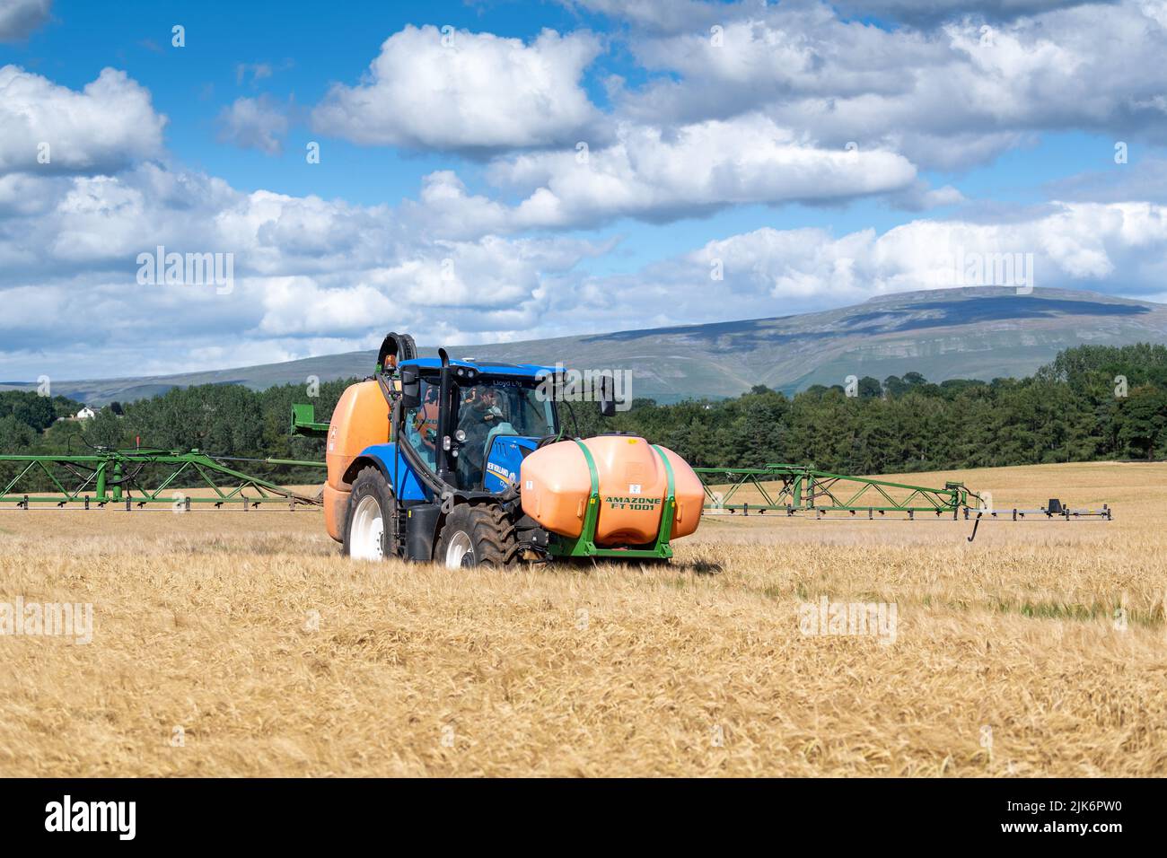 Spraying a field of nearly ripe barley with a glyphosate based weedkiller to get rid of excess greenery which would clog up the combine when harvested Stock Photo
