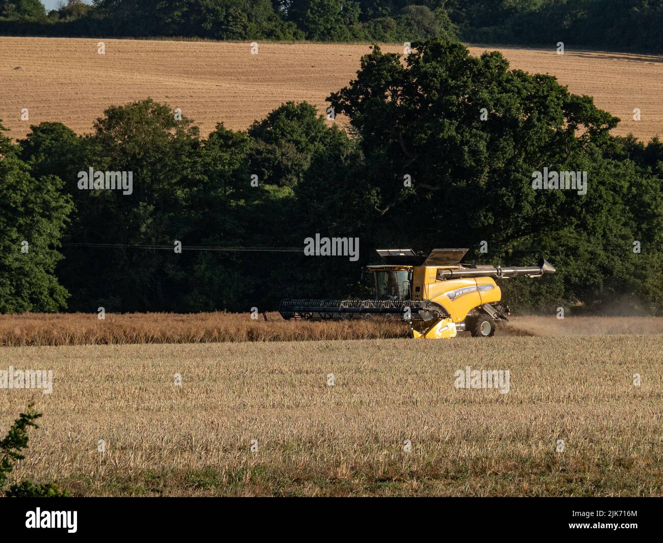 A New Holland CR990 twin rotor combine harvesting oilseed rape in a Suffolk landscape Stock Photo