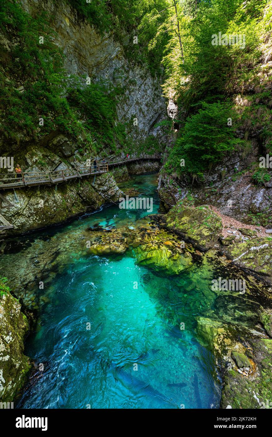 Beautiful view of the turquoise transparent stream water in Vintgar Gorge near Lake Bled in summer, Upper Carniola, Slovenia Stock Photo