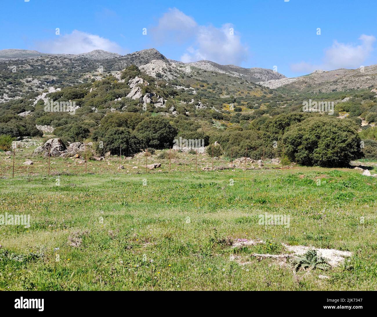 Mountains in Malaga province in the south of Spain in a sunny day Stock Photo