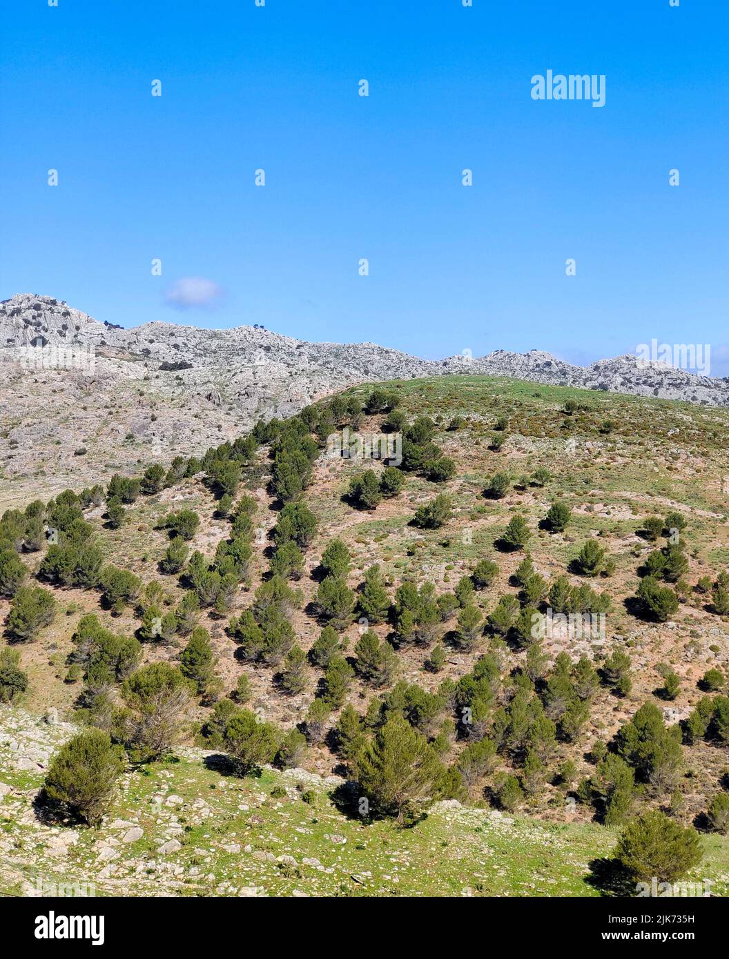 Mountains in Malaga province in the south of Spain in a sunny day Stock Photo