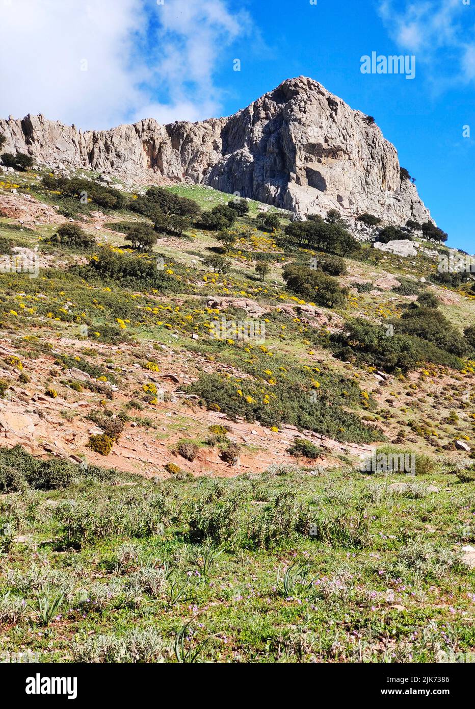 Mountains in Malaga province in the south of Spain in a sunny day Stock Photo