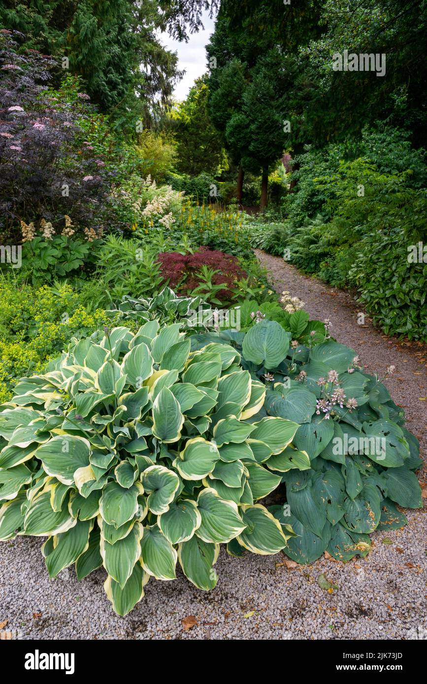 Shade tolerant planting at Thornbridge Hall gardens near Bakewell, Derbyshire, England. Stock Photo