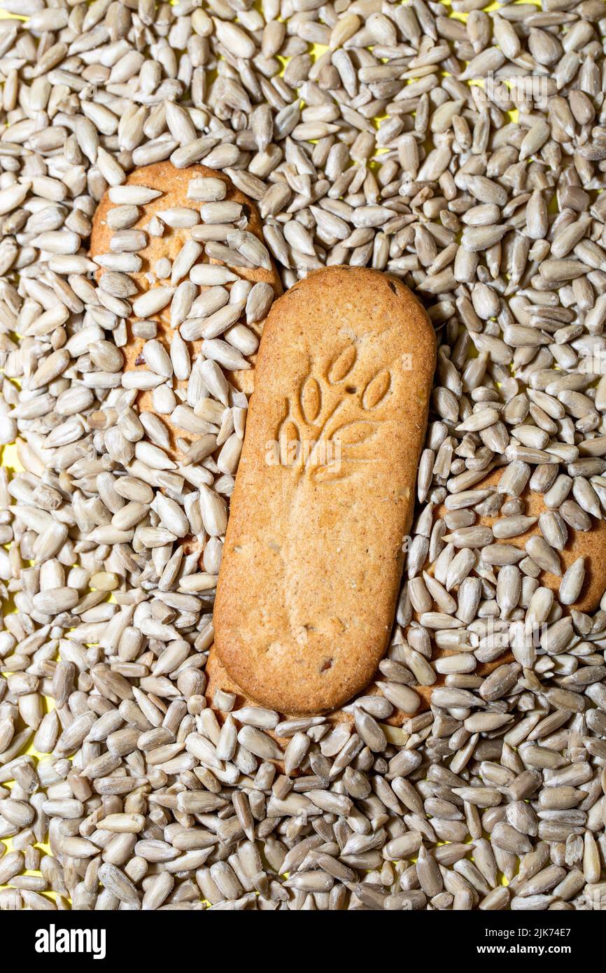 cookies on the background of sunflower seeds. Stock Photo