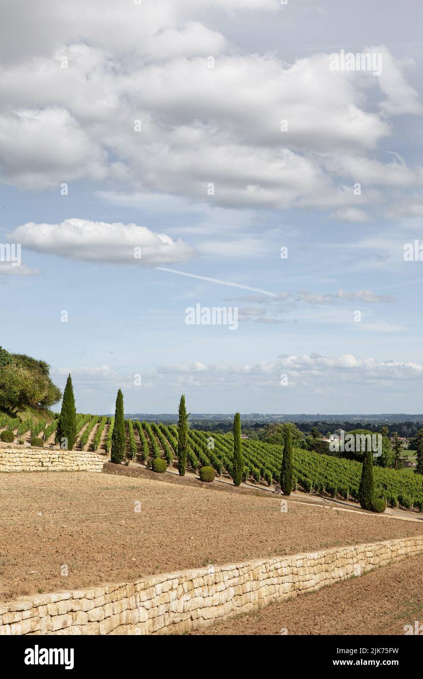 Landscape of vineyards in South West of France Stock Photo