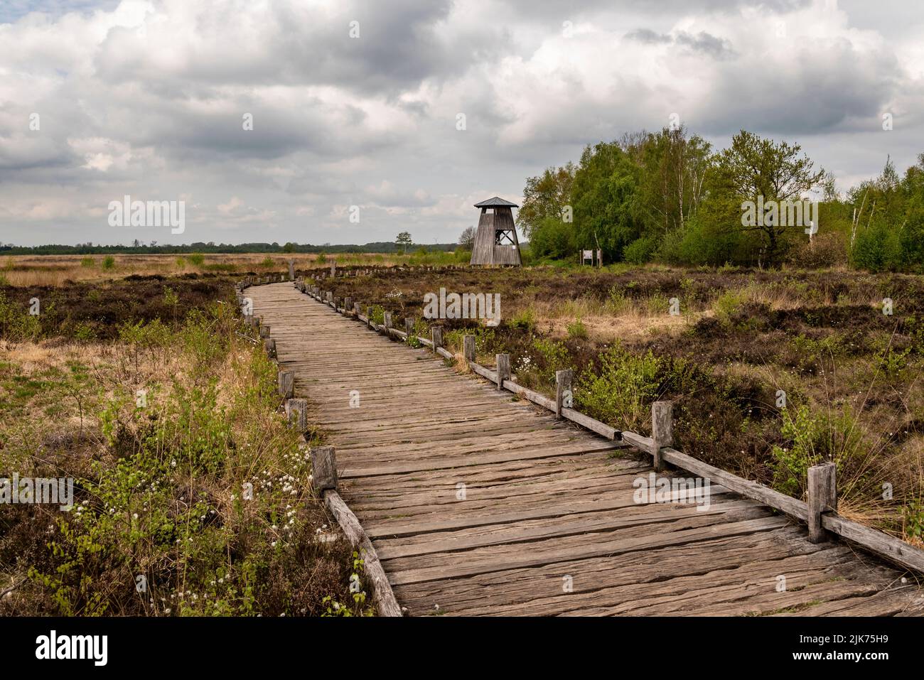 Beautiful moor landscape with a wooden boardwalk and a wooden lookout tower in the 'Großes Torfmoor' raised bog, Hille, Germany Stock Photo
