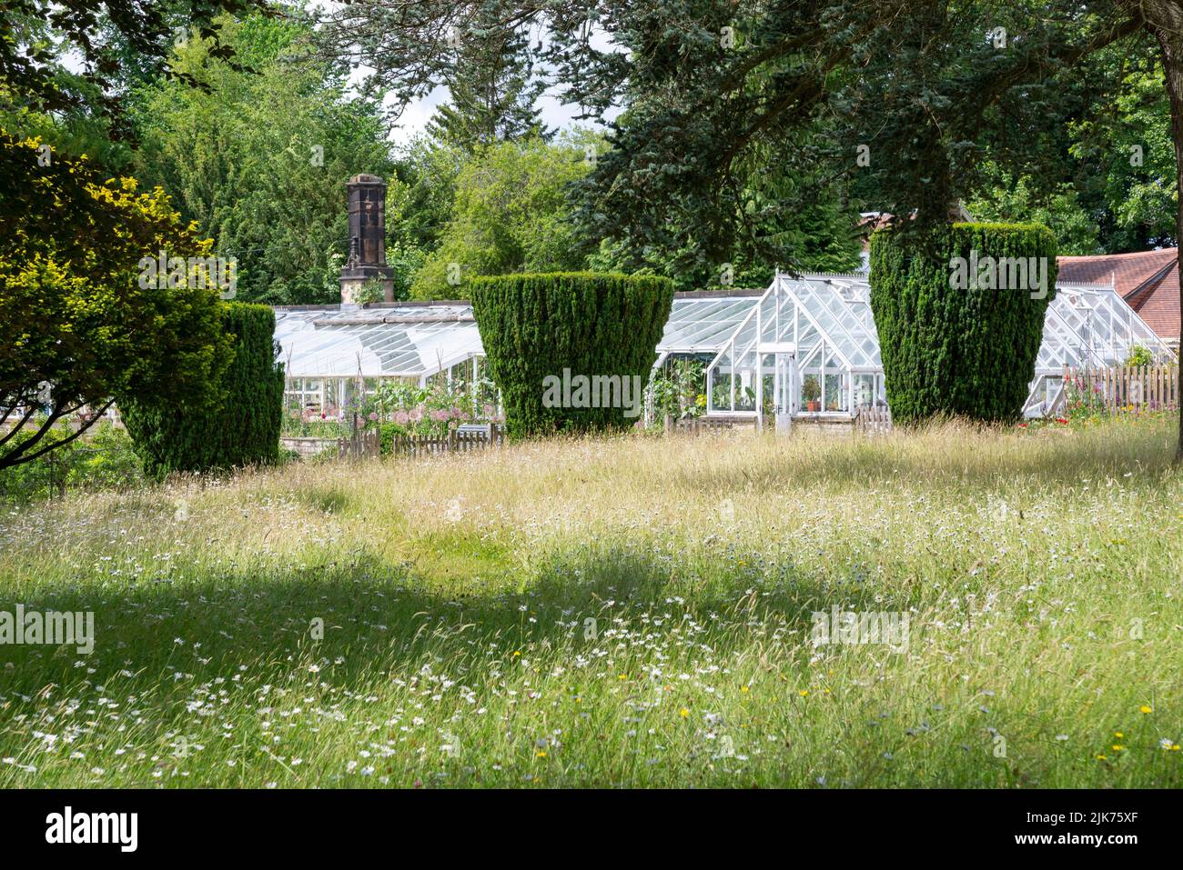 Wildlfower area and glasshouses at Thornbridge Hall gardens near Bakewell, Derbyshire, England. Stock Photo