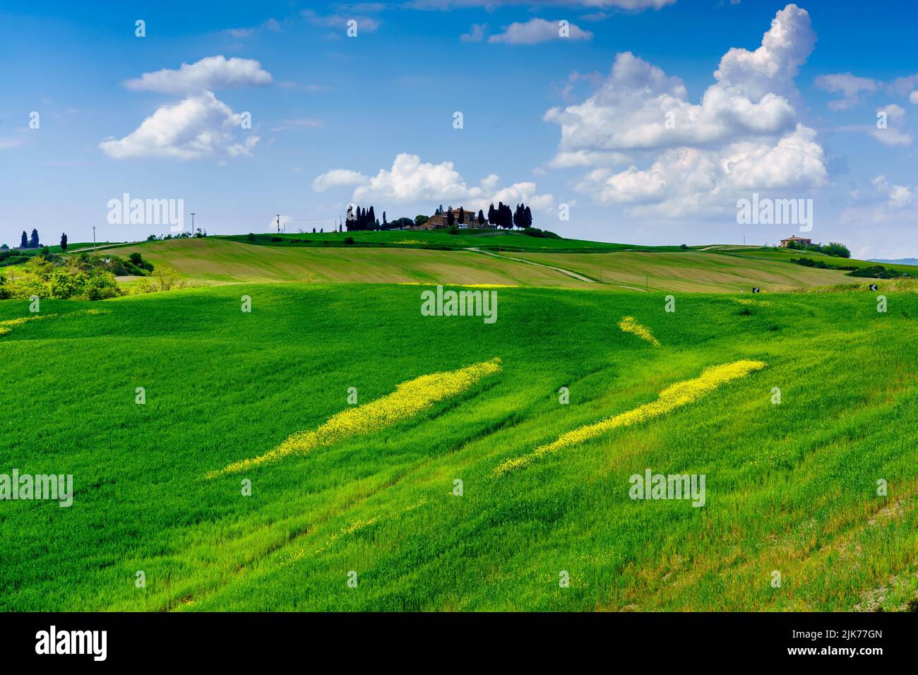 Panorama of Val D'Orcia (Tuscany, Italy) Stock Photo