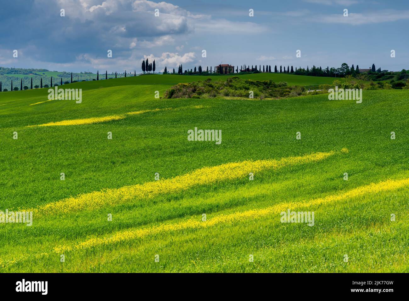 Panorama of Val D'Orcia (Tuscany, Italy) Stock Photo
