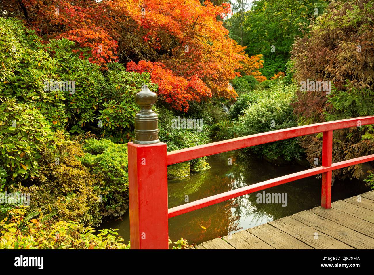WA21836-00...WASHINGTON - Fall color at Heart Bridge in Seattle's Kabota Garden; Japanese-American Garden. Stock Photo