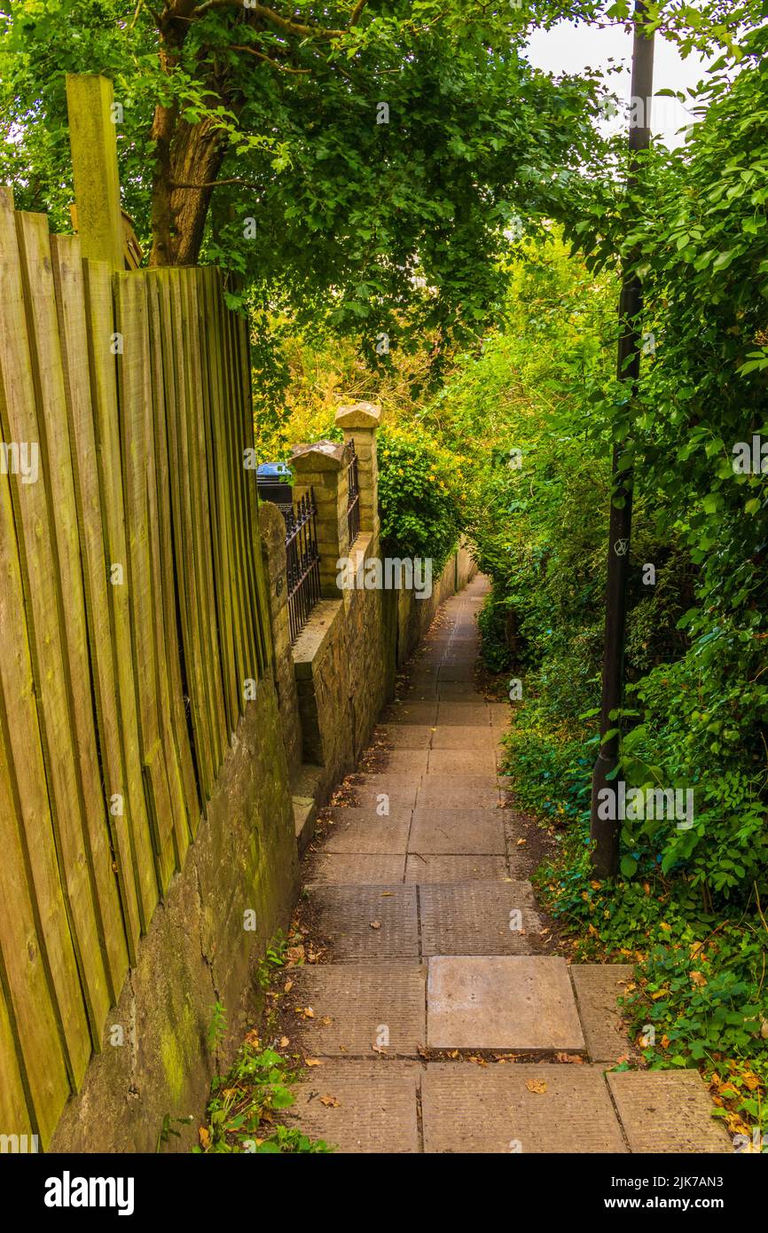 Traditional houses at Bathwick Hill in Baththe largest city in the