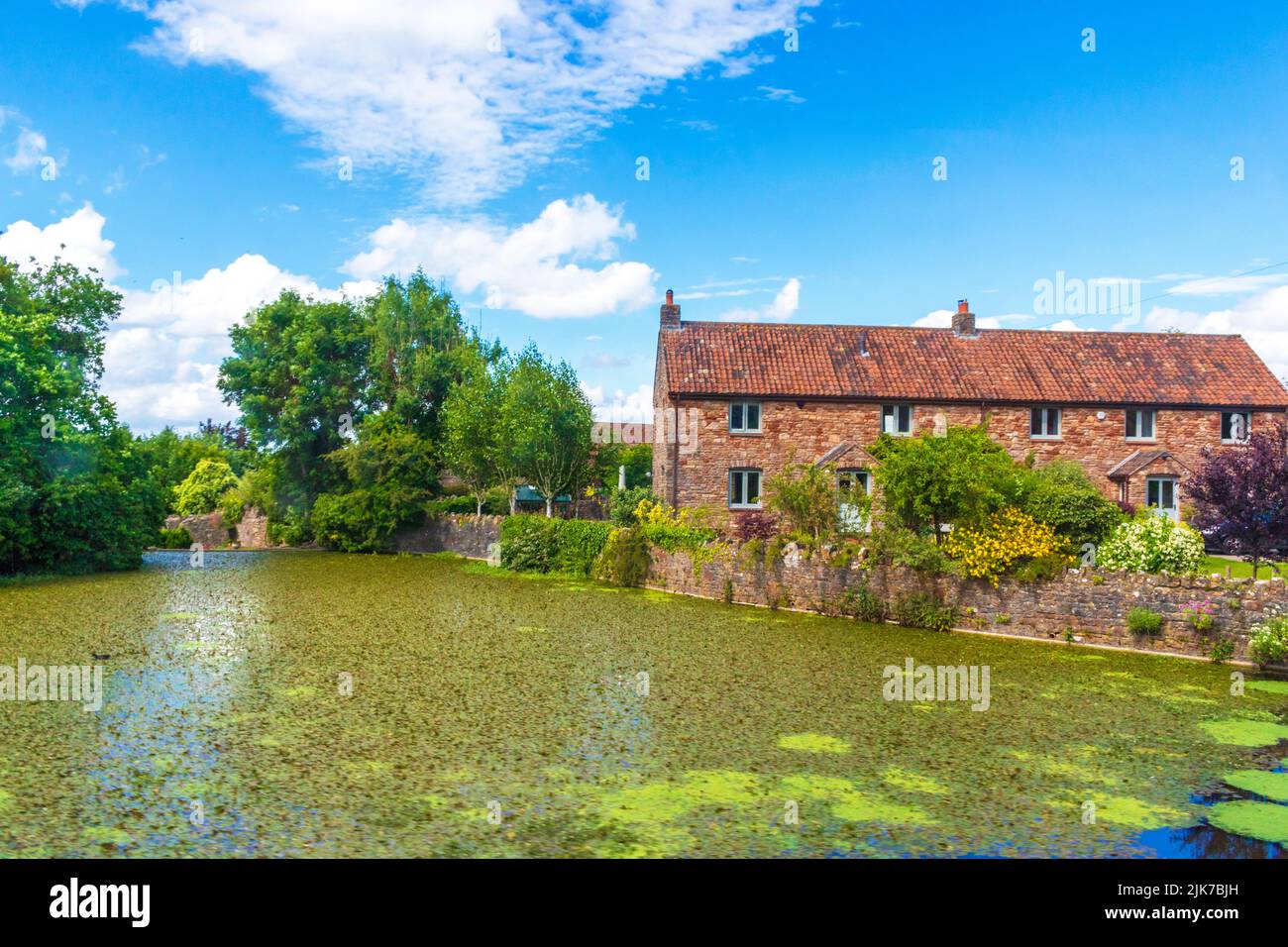 Houses and pond in Compton Martin seen from A368 roada small village