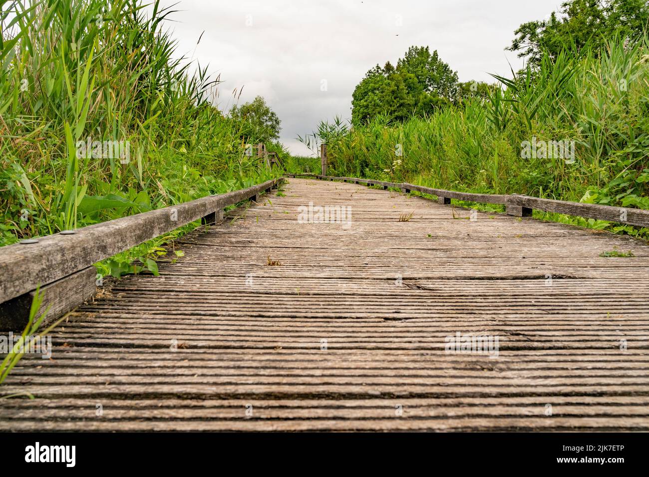 The Réserve Naturelle Nationale des Étangs du Romelaëre forms the central swamp area of the The Réserve Naturelle Nationale des Étangs du Romelaëre forms the central swamp area of the