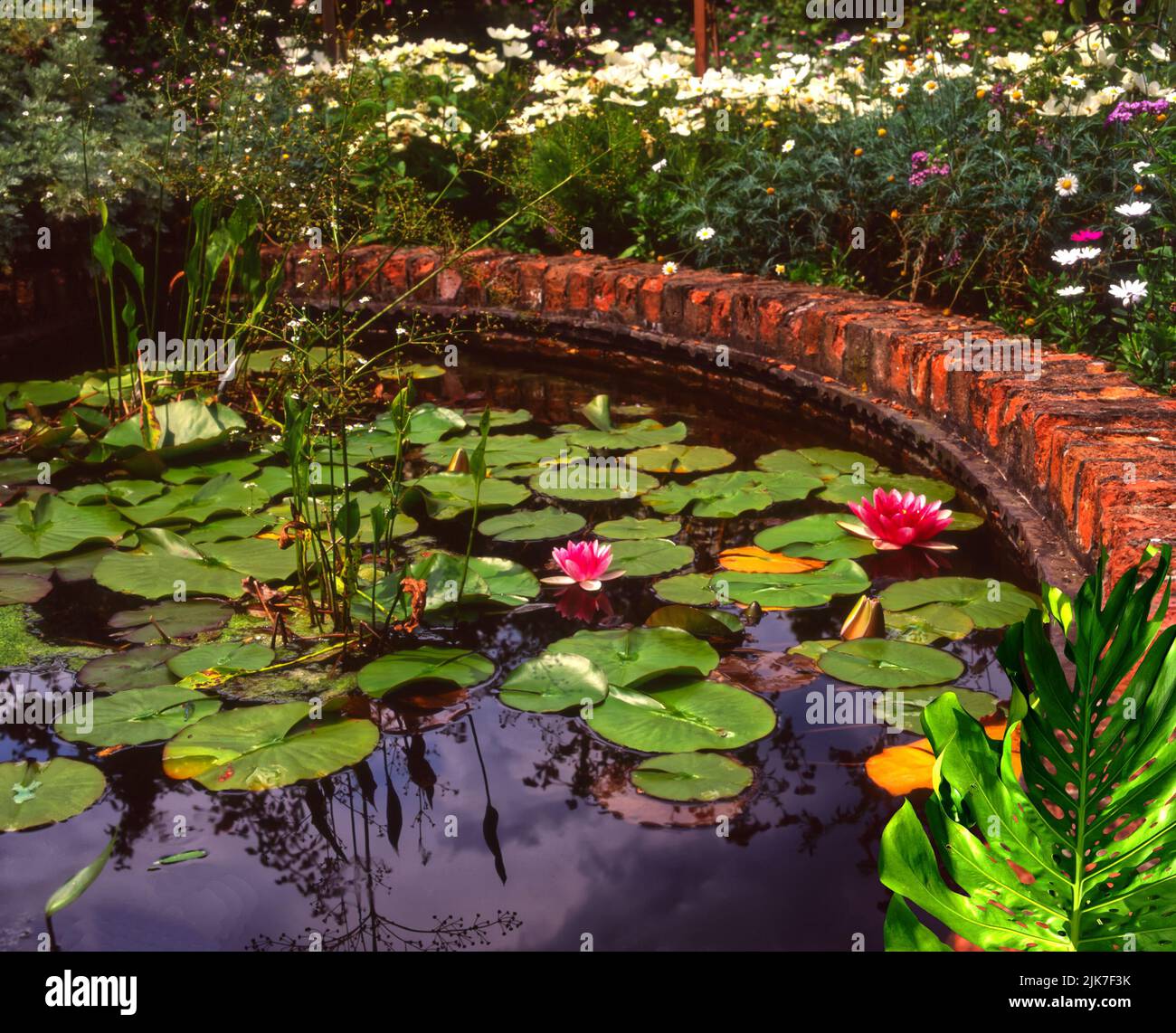 Garden pond surrounded by a brick wall Stock Photo