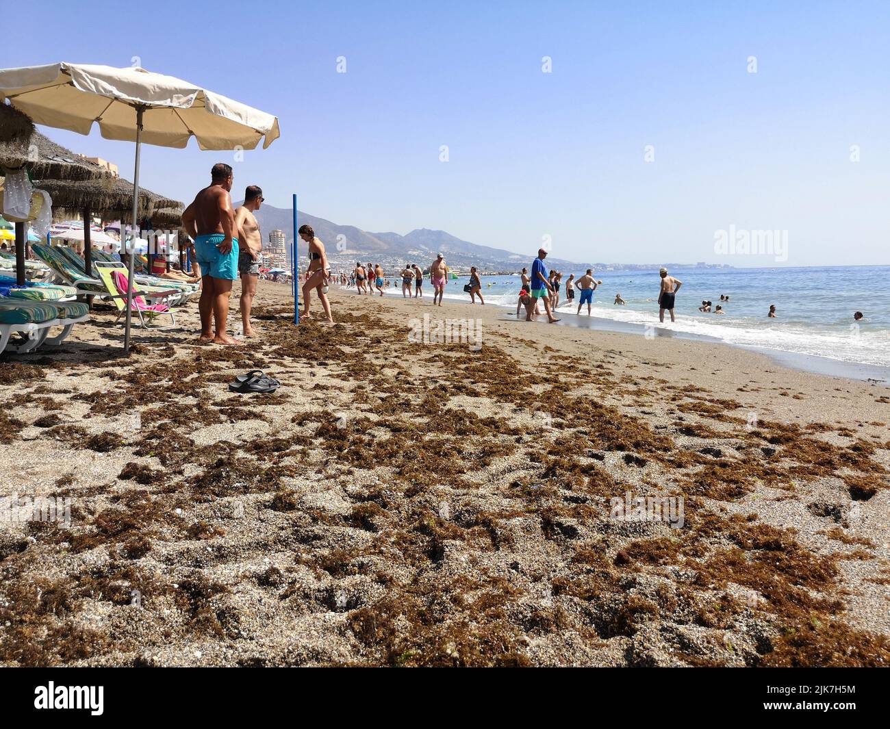 Seaweed on beach of Fuengirola, Malaga province, Spain. Stock Photo
