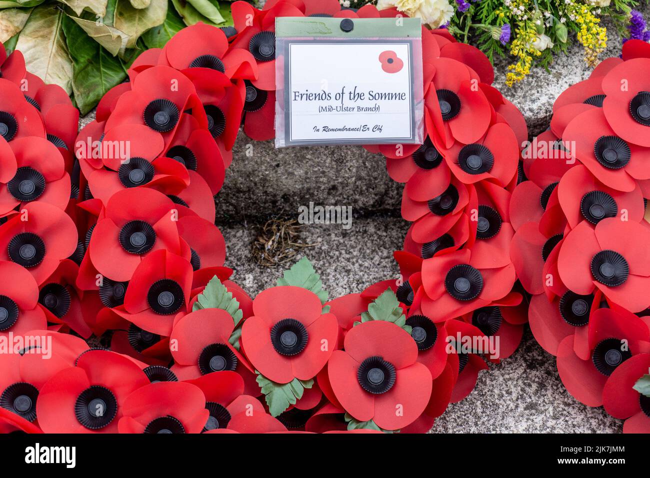 A poppy wreath laid by the Friends of the Somme, in the Irish National War Memorial Gardens commemorating the 60,000 Irish people who died in WW1, WW2 Stock Photo