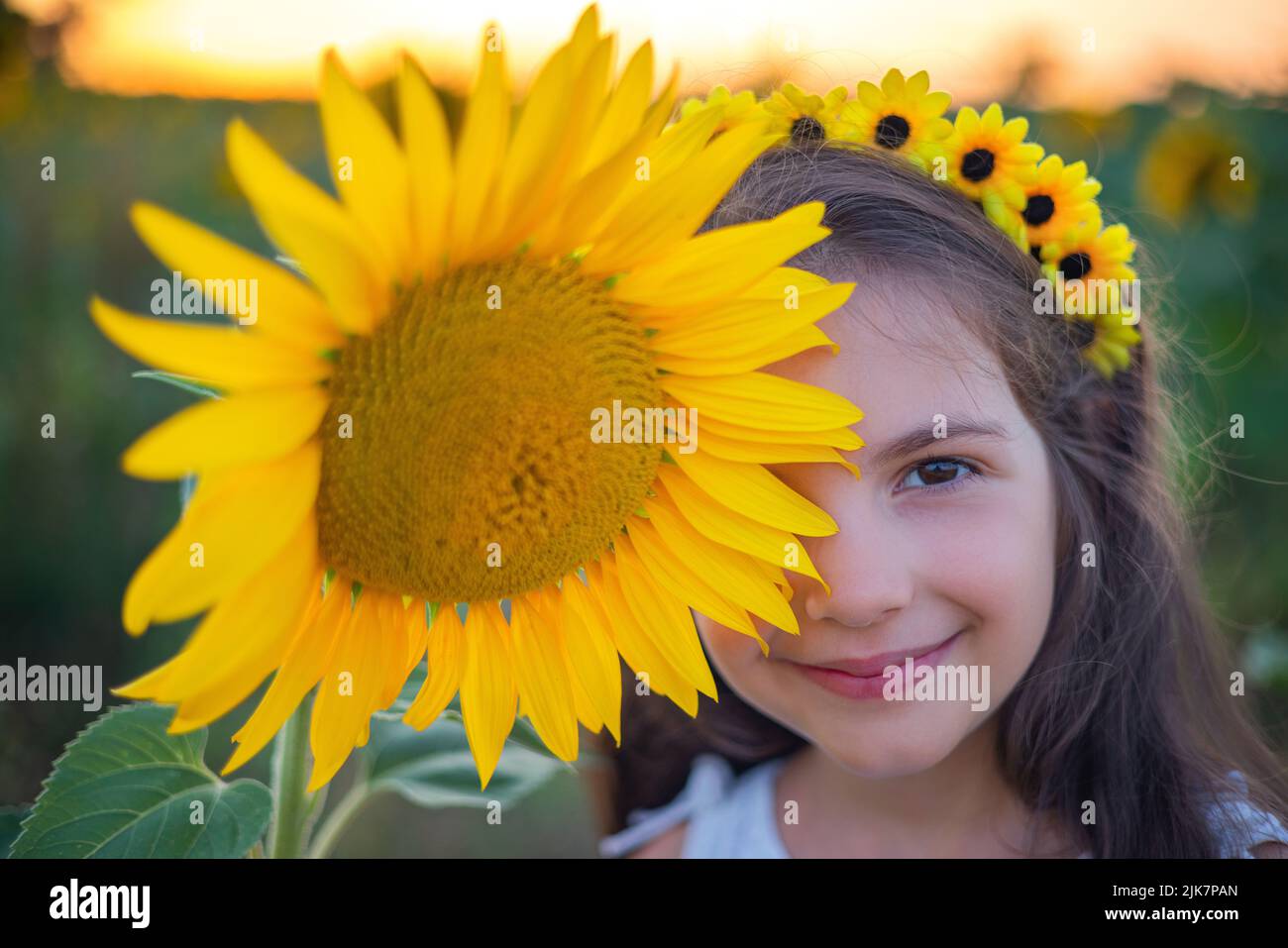 Girl and sunflowers in sunflower field during sunset. Agriculture, farming, childhood and carefree concept. Stock Photo