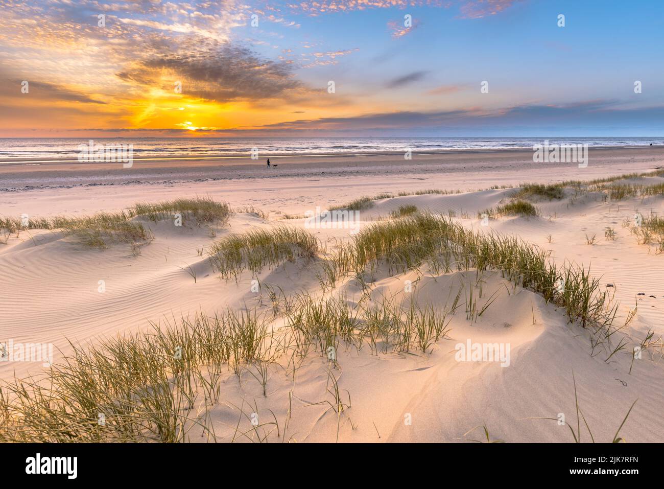 Beach and dunes Dutch coastline landscape seen from Wijk aan Zee over the North Sea at sunset, Netherlands Stock Photo