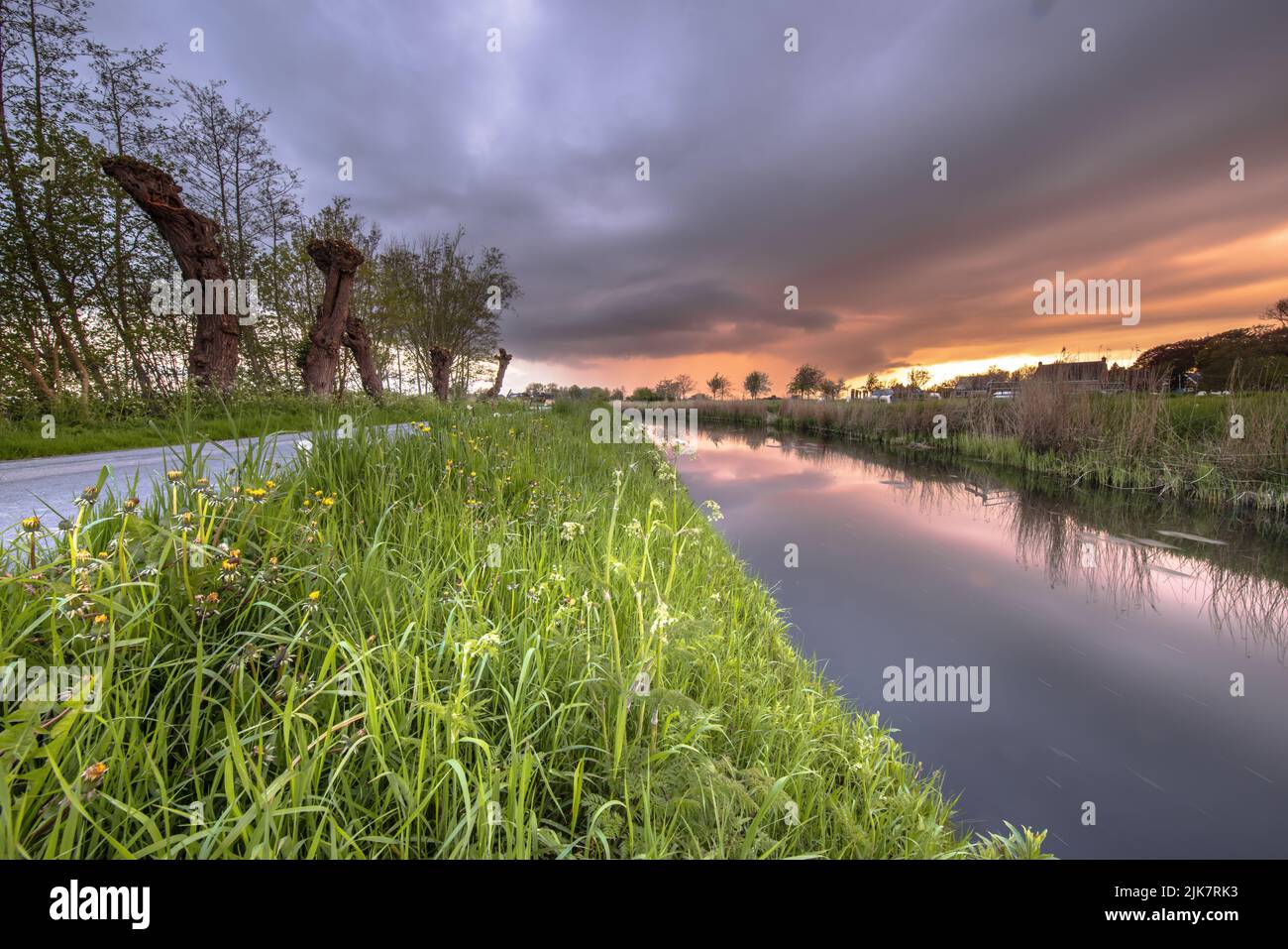Polder Countryside Landscape in Groningen Province, Netherlands. With River, Road, Riverbank and Pollard Willows at sunset. Stock Photo