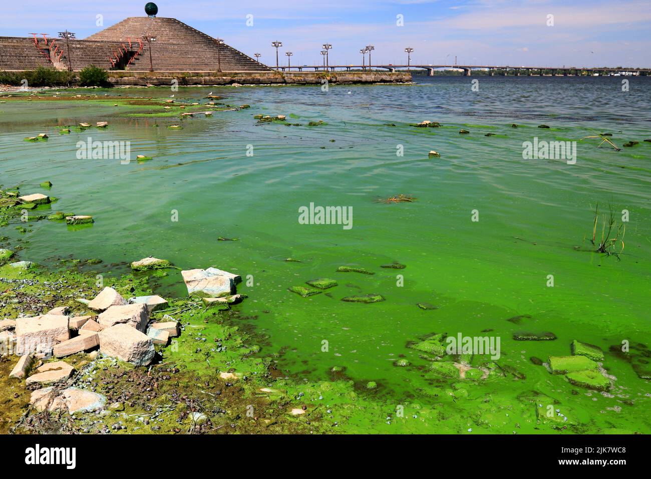 Dirty green waters, wave with algae, problem of environmental pollution. Toxic decaying algae in river wave. Ecological catastrophy Stock Photo