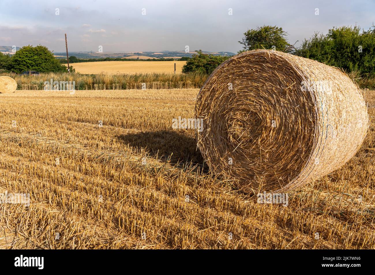Round straw bale Stock Photo