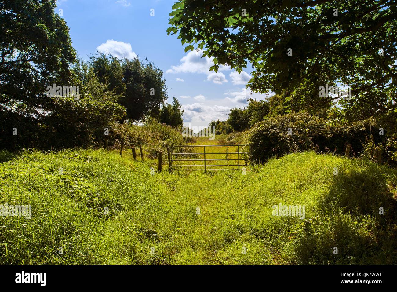 farm gate in wilderness Stock Photo