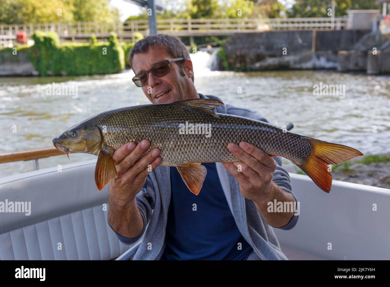 A barbel fish held by a fisherman in a boat, next to a river weir on the River Thames, U.K Stock Photo