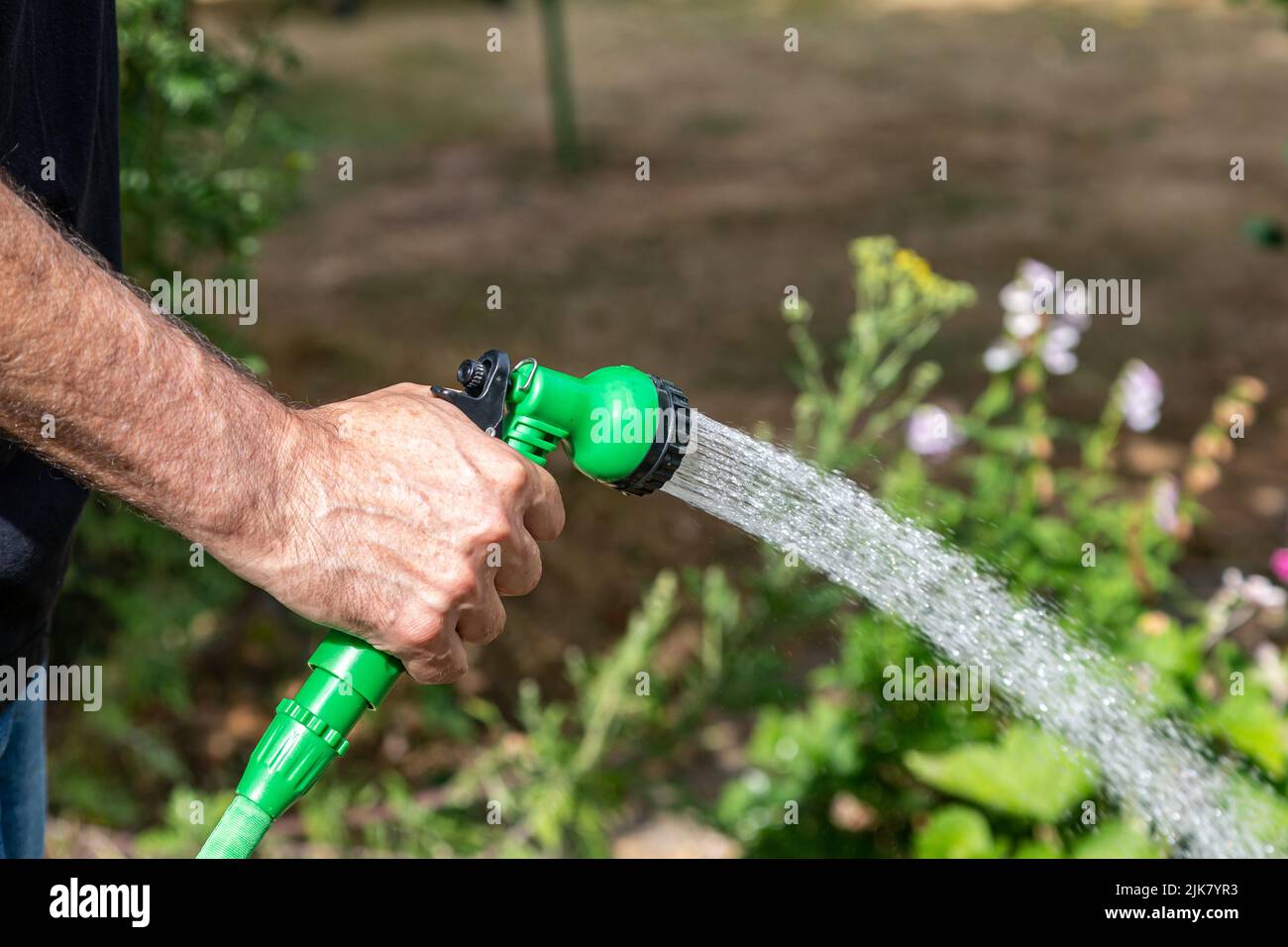 Gardening hosepipe hires stock photography and images Alamy