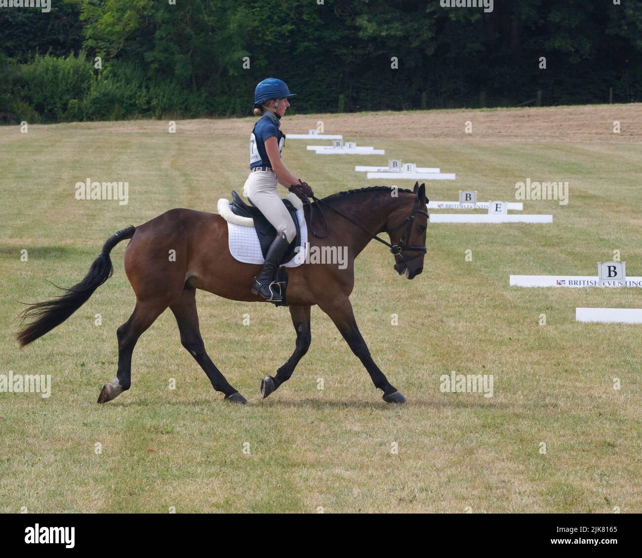 East Budleigh Salterton, United Kingdom, 31 Jul, 2022, Isabelle Geran rides Menai Cosmic Duke in the Dressage section of Bicton Horse Trials at Bicton Horse Trials. Credit: Will Tudor/Alamy Live News Stock Photo