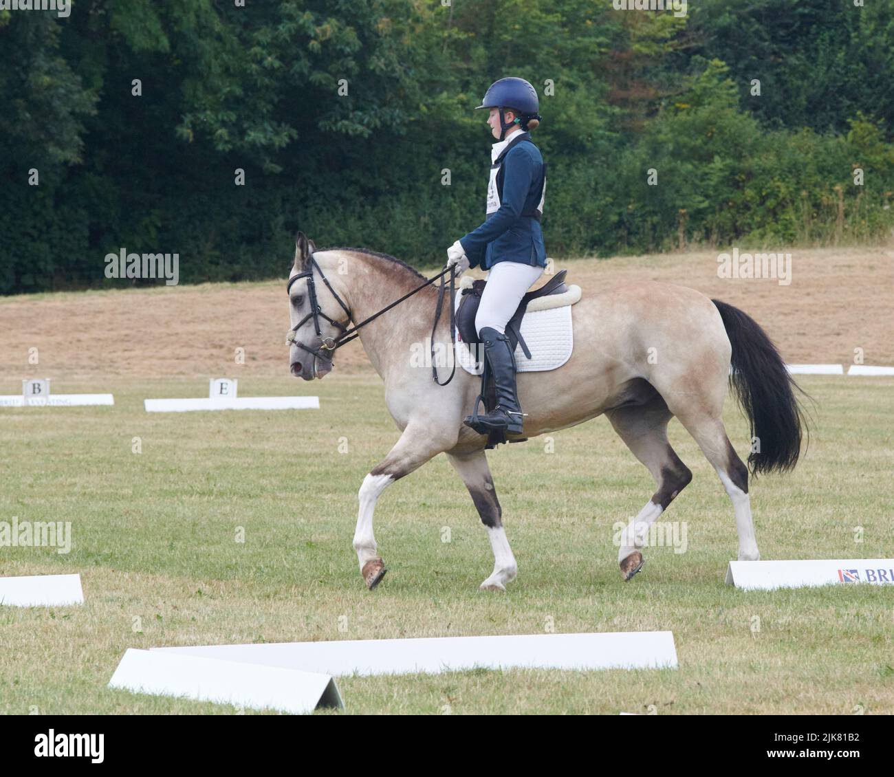 East Budleigh Salterton, United Kingdom, 31 Jul, 2022, Charlie Piper Riding Just Sid in the Dressage section of Bicton Horse Trials at Bicton Horse Trials. Credit: Will Tudor/Alamy Live News Stock Photo