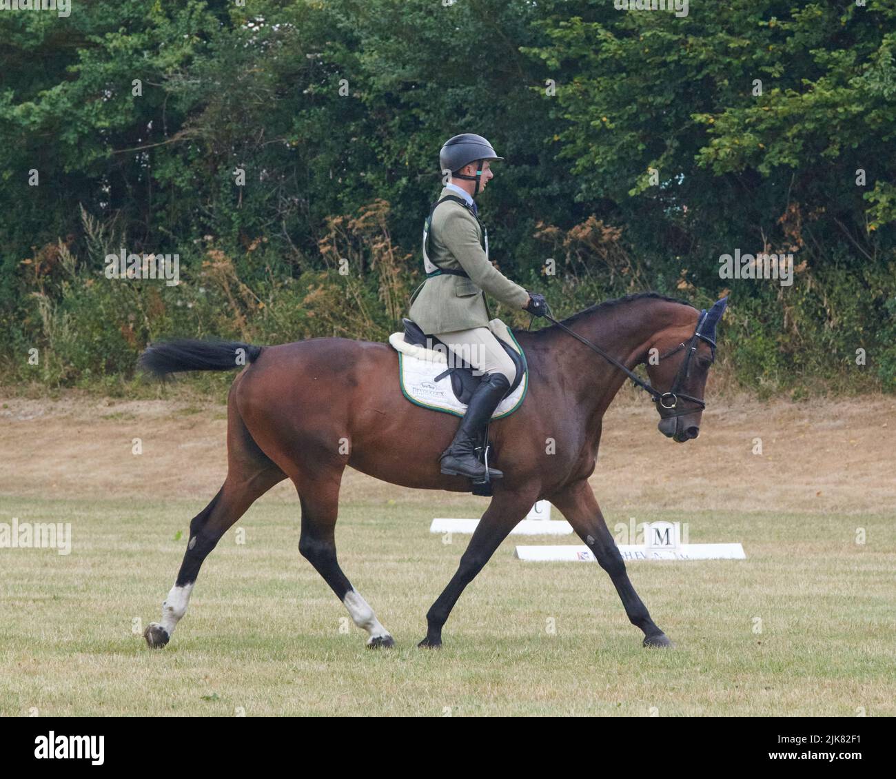 East Budleigh Salterton, United Kingdom, 31 Jul, 2022, Harry Dzenis rides Forge Ahead in the Dressage section of Bicton Horse Trials at Bicton Horse Trials. Credit: Will Tudor/Alamy Live News Stock Photo