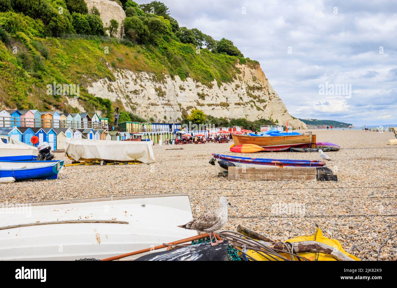 Beach and cliffs at Beer, a picturesque small coastal village on Lyme Bay in the Jurassic Coast of East Dorset, south-west England Stock Photo