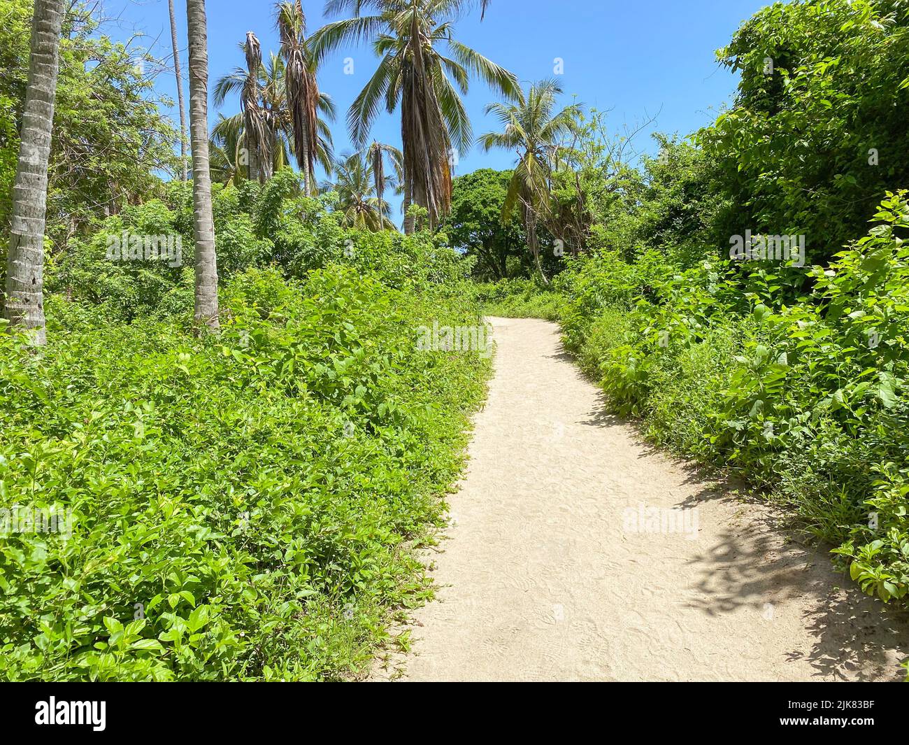 Empty rural road surrounded hi-res stock photography and images - Alamy