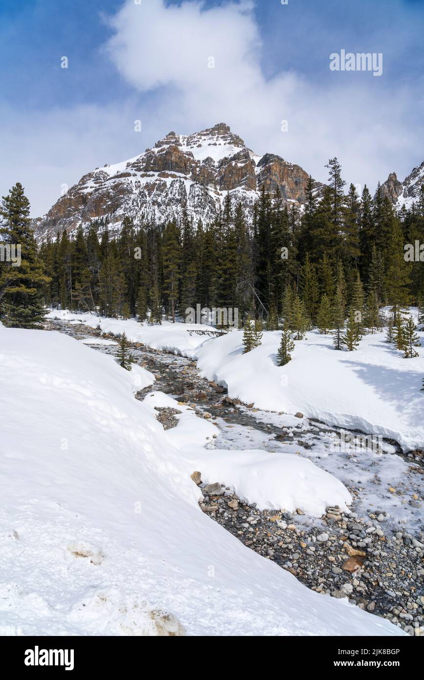 A mountain  scenic with a small stream along the Icefields Parkway near Lake Louise, Banff National Park, Alberta, Canada. Stock Photo