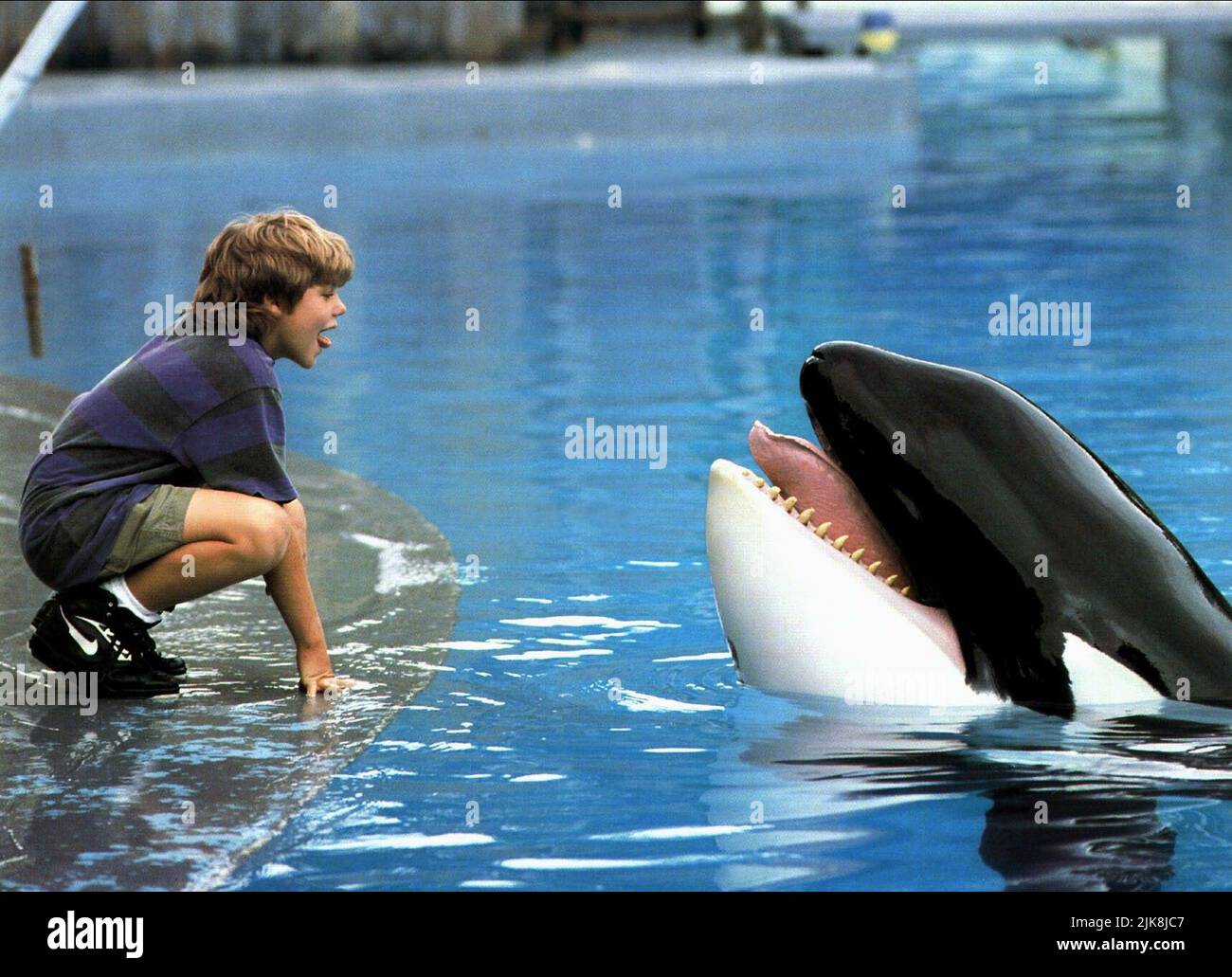 Jason James Richter Film: Free Willy (USA/FR 1993)   Director: Simon Wincer 16 July 1993   **WARNING** This Photograph is for editorial use only and is the copyright of WARNER BROS. and/or the Photographer assigned by the Film or Production Company and can only be reproduced by publications in conjunction with the promotion of the above Film. A Mandatory Credit To WARNER BROS. is required. The Photographer should also be credited when known. No commercial use can be granted without written authority from the Film Company. Stock Photo