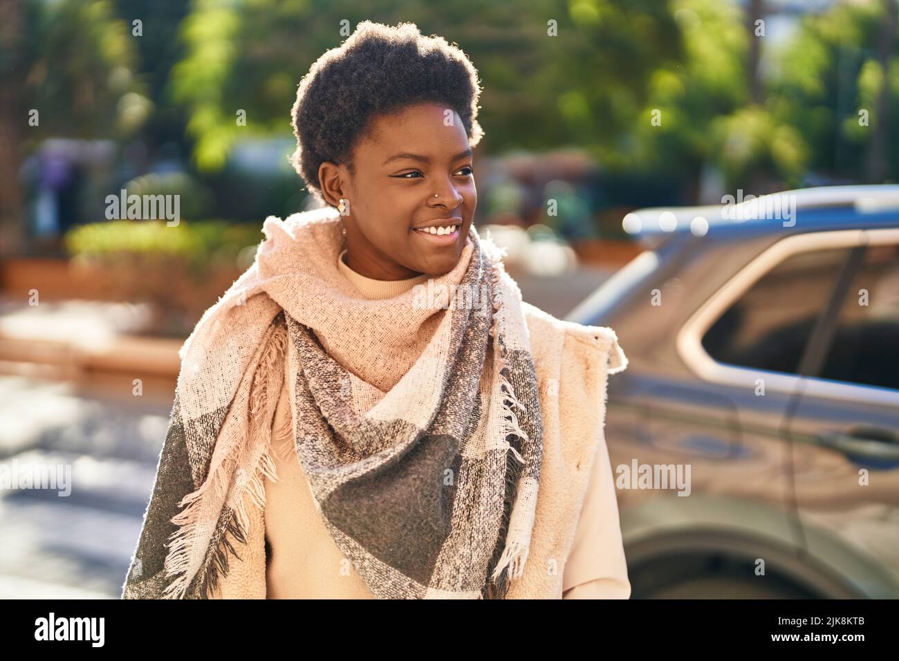 African american woman smiling confident standing at park Stock Photo ...