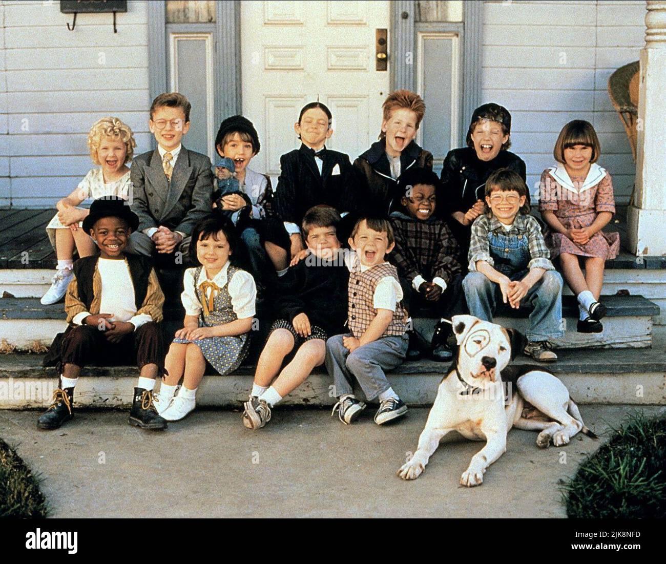What Kind Of Dog Was Petey From Little Rascals