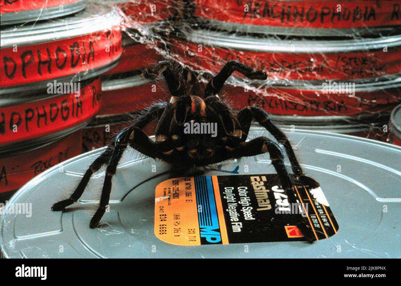Arachnophobia spider 1990 hi-res stock photography and