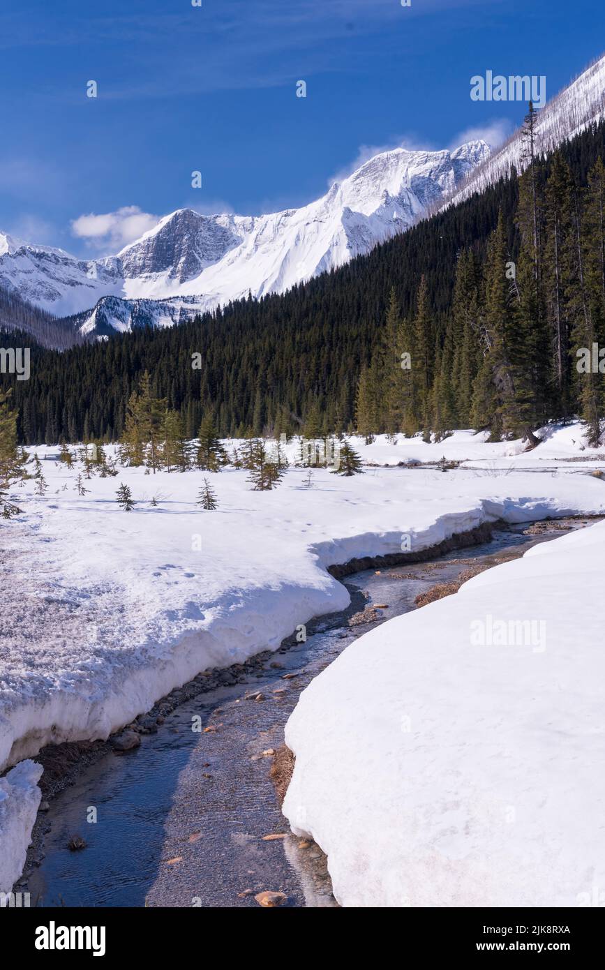 Kootenay national park hi-res stock photography and images - Alamy
