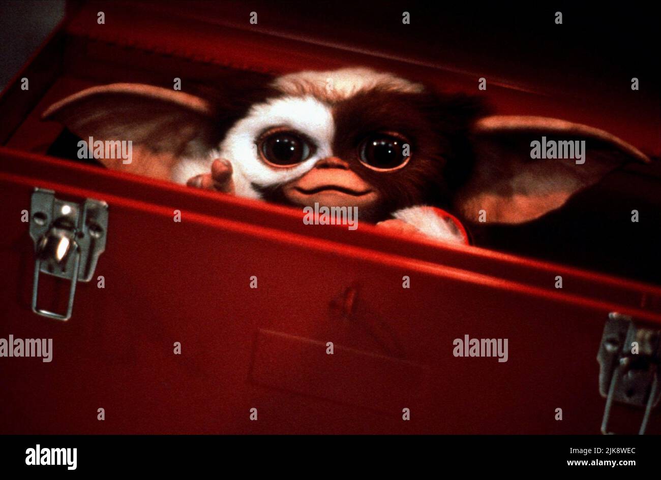 Gizmo Film: Gremlins 2: The New Batch (USA 1990)   Director: Joe Dante 15 June 1990   **WARNING** This Photograph is for editorial use only and is the copyright of WARNER BROS. and/or the Photographer assigned by the Film or Production Company and can only be reproduced by publications in conjunction with the promotion of the above Film. A Mandatory Credit To WARNER BROS. is required. The Photographer should also be credited when known. No commercial use can be granted without written authority from the Film Company. Stock Photo
