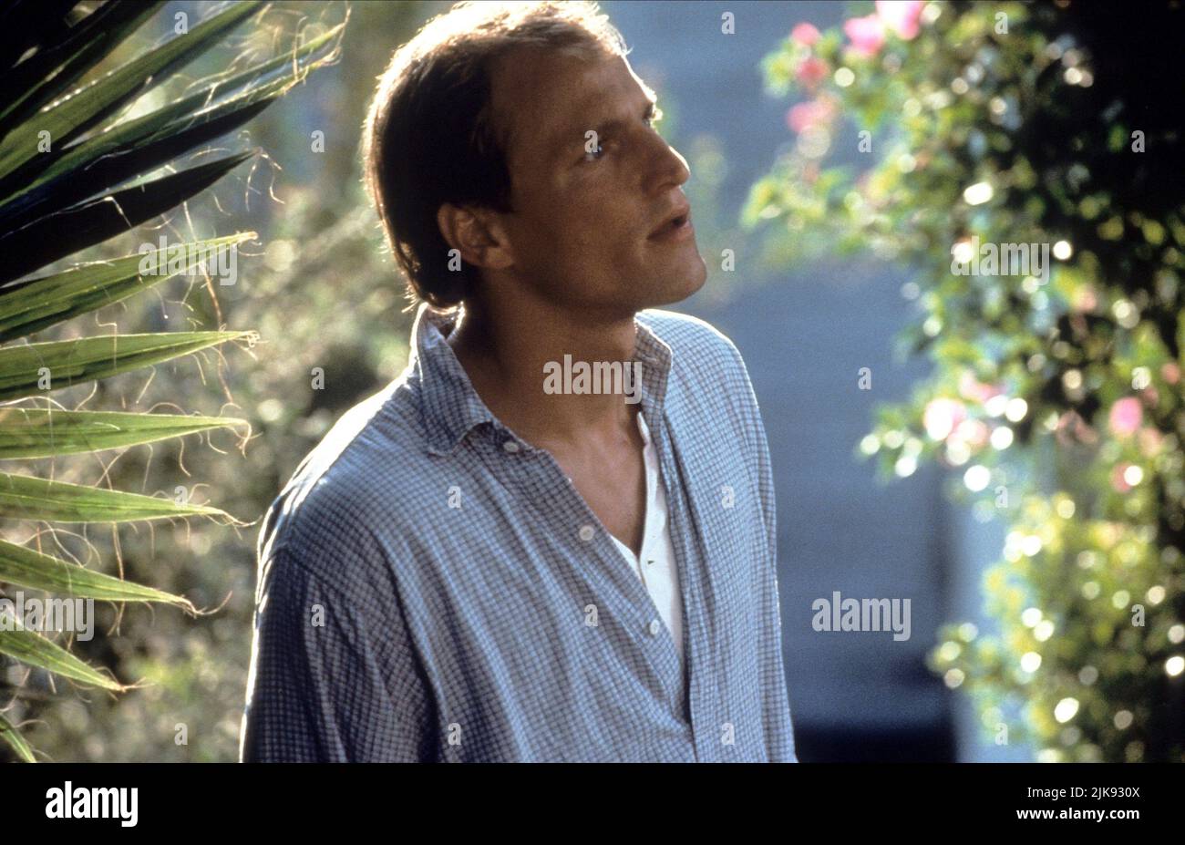 Woody Harrelson Film Indecent Proposal (1993) Characters David Murphy