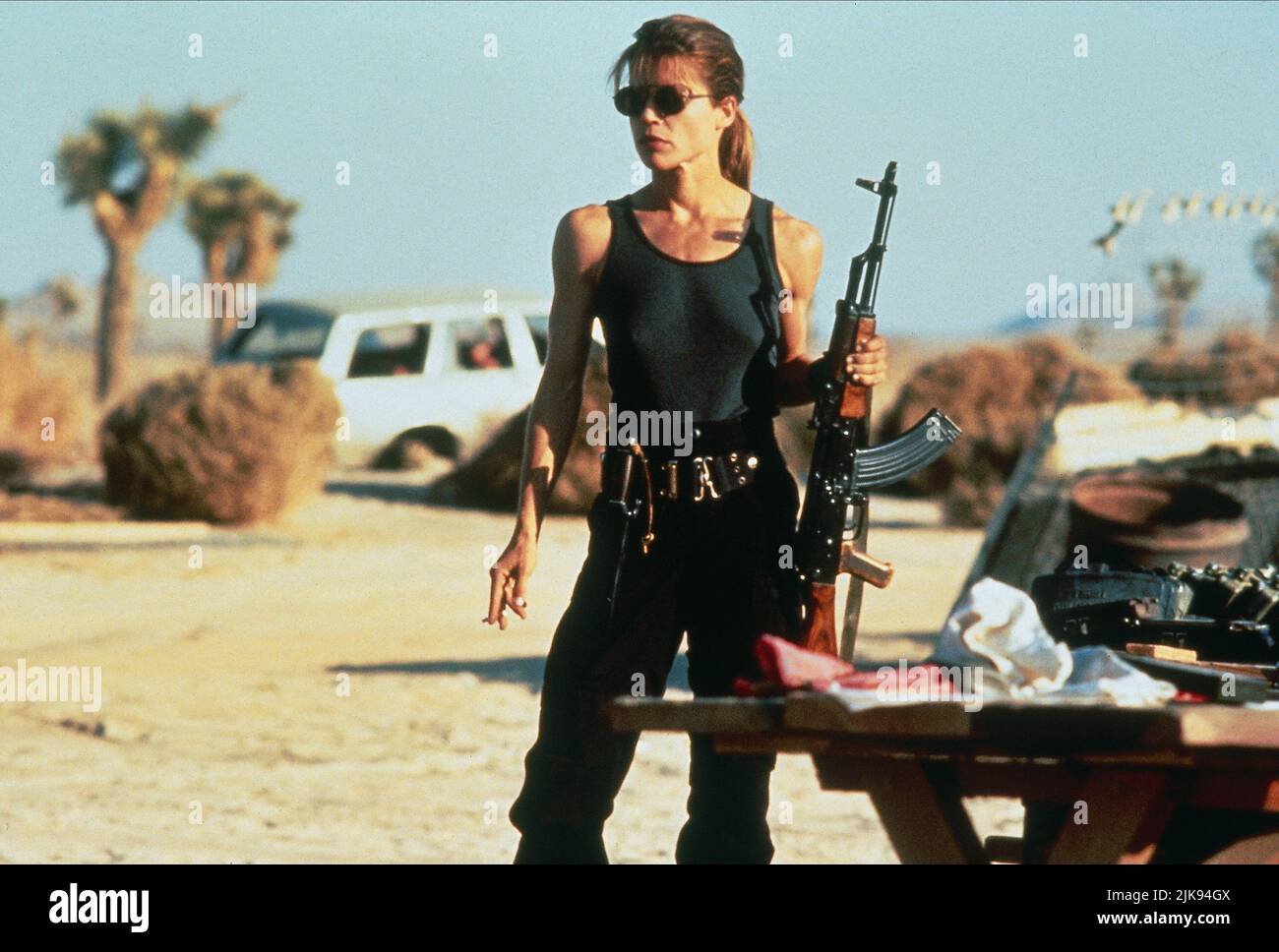 Linda Hamilton Film: Terminator 2: Judgment Day (USA/FR 1991) Characters: Sarah Connor  Director: James Cameron 01 July 1991   **WARNING** This Photograph is for editorial use only and is the copyright of TRISTAR PICTURES and/or the Photographer assigned by the Film or Production Company and can only be reproduced by publications in conjunction with the promotion of the above Film. A Mandatory Credit To TRISTAR PICTURES is required. The Photographer should also be credited when known. No commercial use can be granted without written authority from the Film Company. Stock Photo