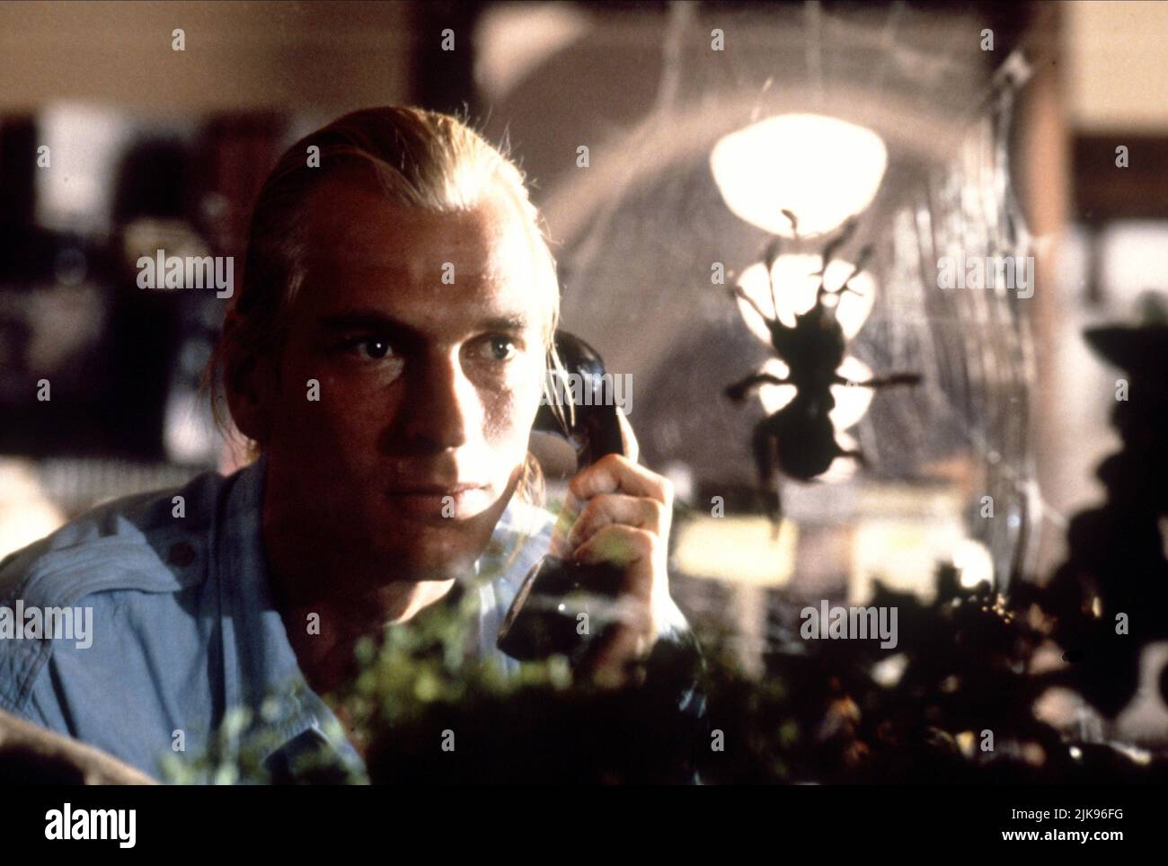 Julian Sands Film: Arachnophobia (1990) Characters: Doctor James Atherton  Director: Frank Marshall 18 July 1990   **WARNING** This Photograph is for editorial use only and is the copyright of BUENA VISTA and/or the Photographer assigned by the Film or Production Company and can only be reproduced by publications in conjunction with the promotion of the above Film. A Mandatory Credit To BUENA VISTA is required. The Photographer should also be credited when known. No commercial use can be granted without written authority from the Film Company. Stock Photo