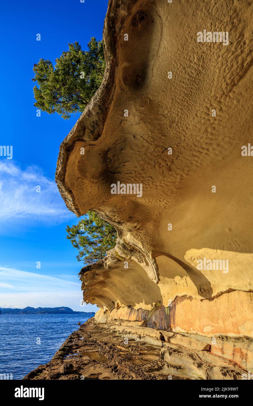 The eroded sandstone Malaspina Galleries on Gabriola Island, BC Stock Photo