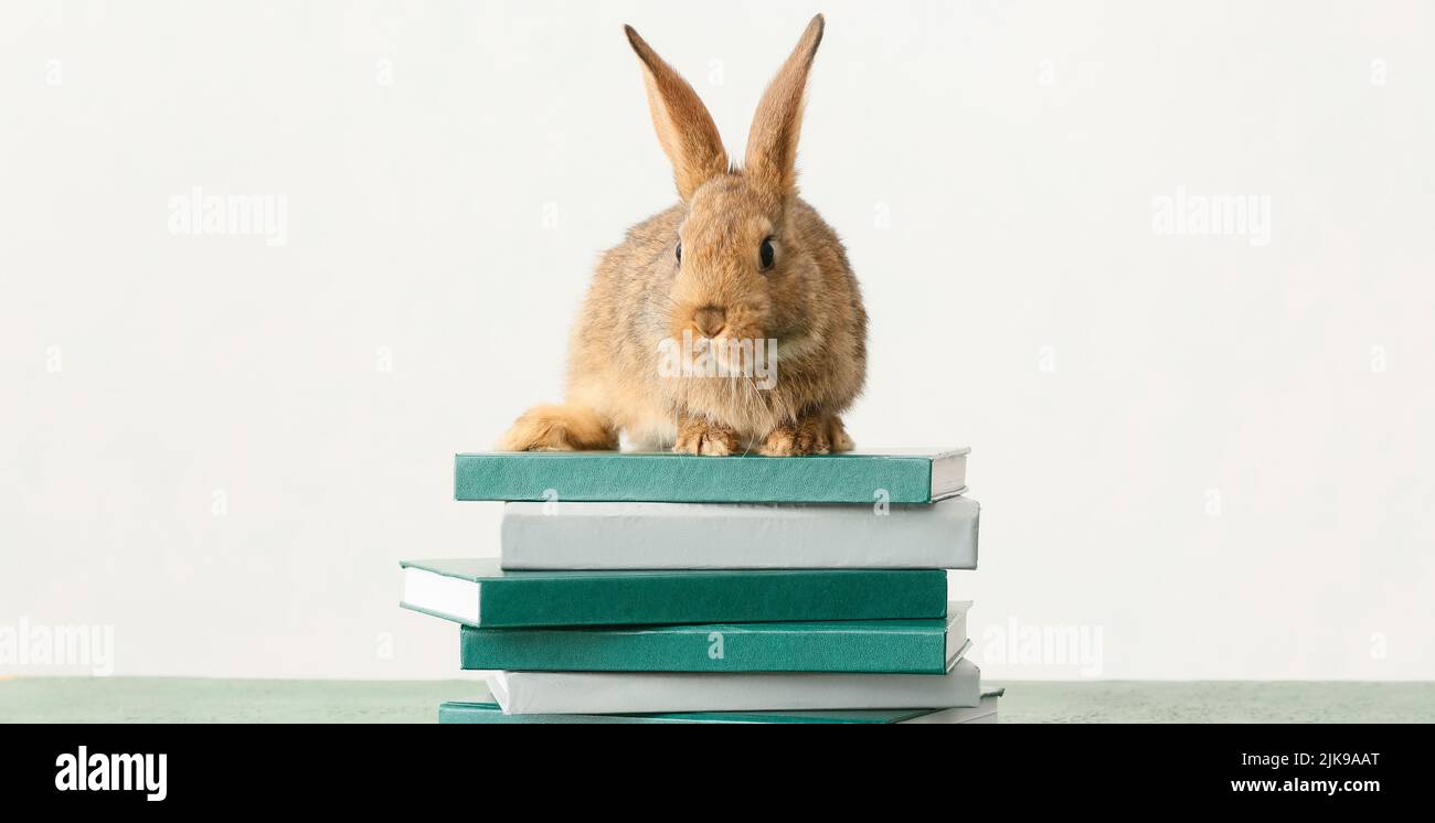 Cute fluffy rabbit and stack of books on table against light background ...
