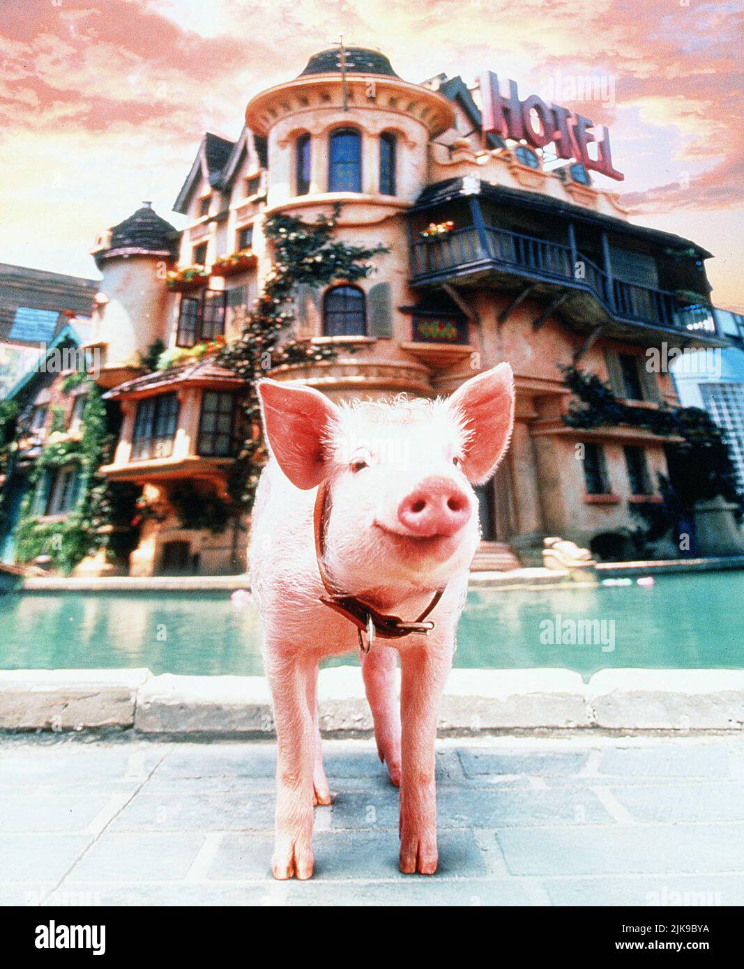 Babe  Film: Babe: Pig In The City (AUS 1998)   Director: George Miller 25 November 1998   **WARNING** This Photograph is for editorial use only and is the copyright of KENNEDY MILLER PRODUCTIONS and/or the Photographer assigned by the Film or Production Company and can only be reproduced by publications in conjunction with the promotion of the above Film. A Mandatory Credit To KENNEDY MILLER PRODUCTIONS is required. The Photographer should also be credited when known. No commercial use can be granted without written authority from the Film Company. Stock Photo