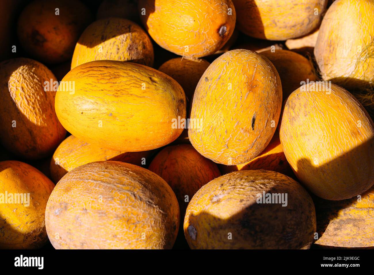 Fresh yellow melons on a farmers market stall Stock Photo