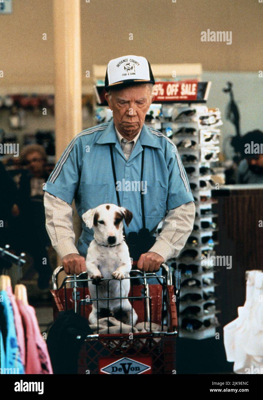 Ray Walston & Dog Film: House Arrest (USA 1996) Characters: Chief Rocco &  Director: Harry Winer 27 November 1996   **WARNING** This Photograph is for editorial use only and is the copyright of MGM and/or the Photographer assigned by the Film or Production Company and can only be reproduced by publications in conjunction with the promotion of the above Film. A Mandatory Credit To MGM is required. The Photographer should also be credited when known. No commercial use can be granted without written authority from the Film Company. Stock Photo