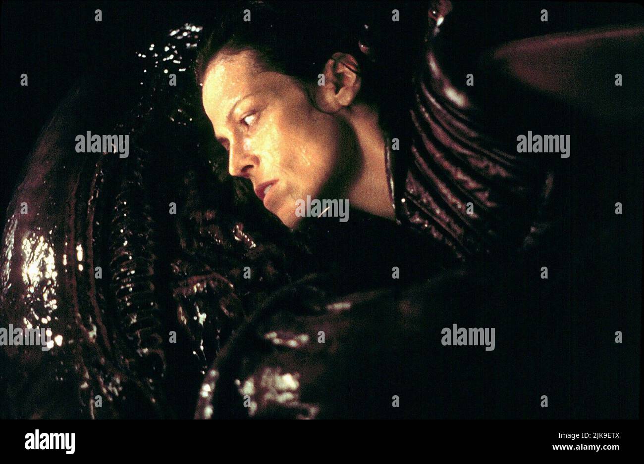 Sigourney Weaver Film: Alien: Resurrection ; Alien 4 (USA 1997) Characters: Ellen Ripley  Director: Jean-Pierre Jeunet 06 November 1997   **WARNING** This Photograph is for editorial use only and is the copyright of 20TH CENTURY FOX and/or the Photographer assigned by the Film or Production Company and can only be reproduced by publications in conjunction with the promotion of the above Film. A Mandatory Credit To 20TH CENTURY FOX is required. The Photographer should also be credited when known. No commercial use can be granted without written authority from the Film Company. Stock Photo